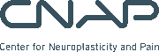 Center for Neuroplasticity and Pain (CNAP), Aalborg University Logo